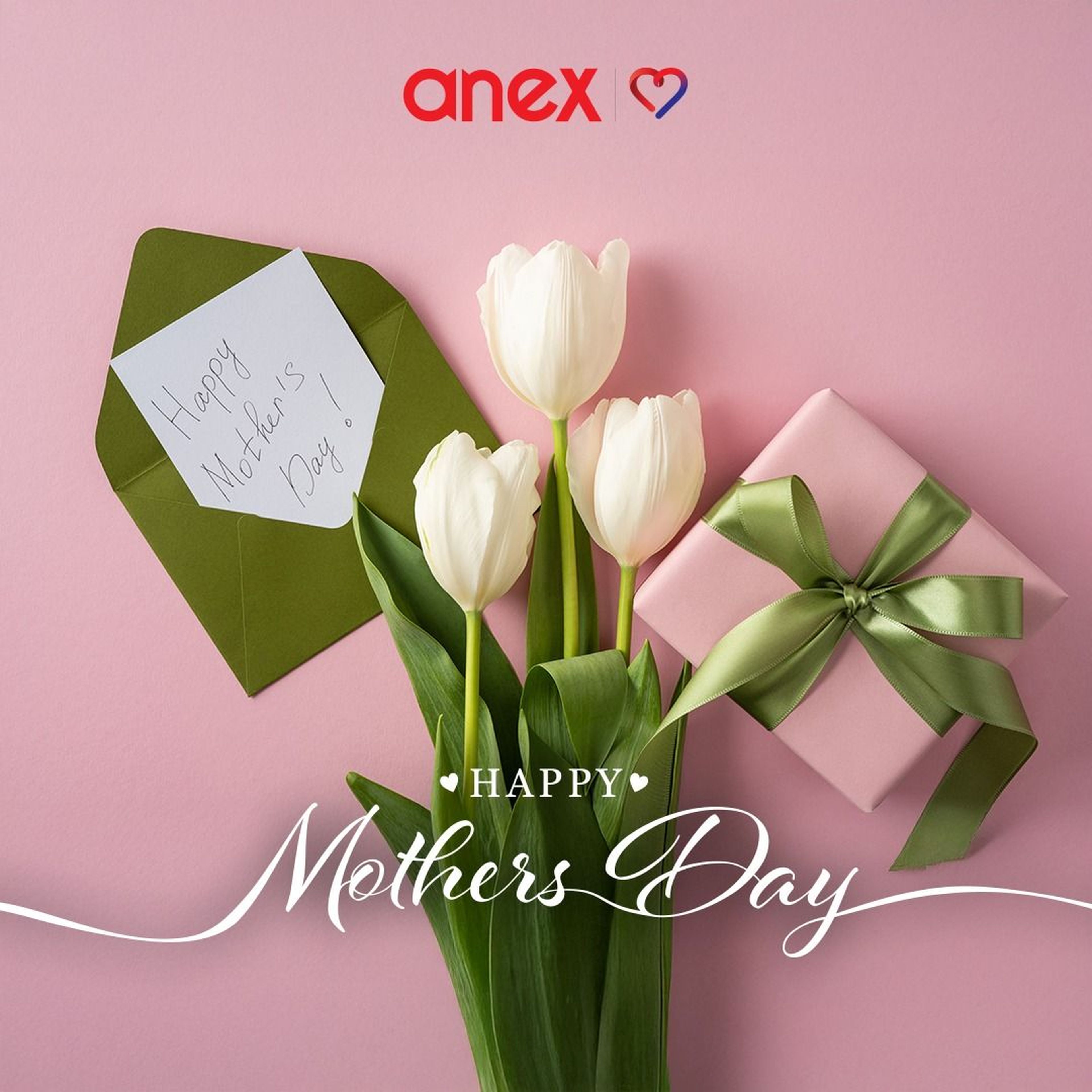 Công ty TNHH TM và DL ANEX Việt Nam - Hình 5